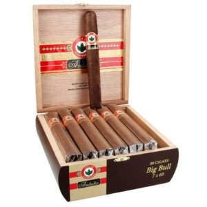 Joya de Nicaragua Silver Toro