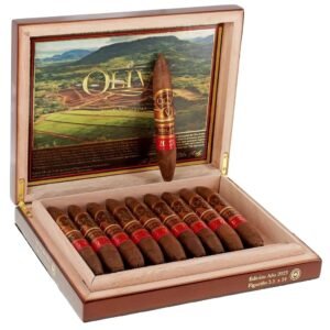 Oliva G Series Maduro Robusto