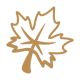 maple-leaf (2)